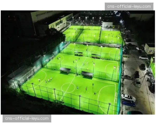 赛事筹办:武汉全新专业足球场通过验收,计划四月投入使用